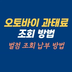 블로그 관련글