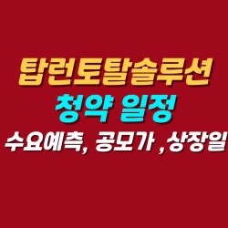 블로그 관련글