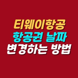 블로그 관련글