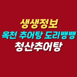 블로그 관련글