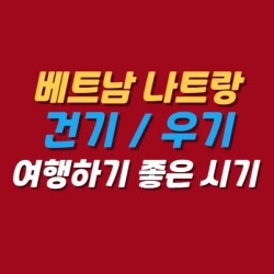 블로그 관련글