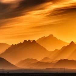 blog related posts