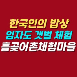 블로그 관련글