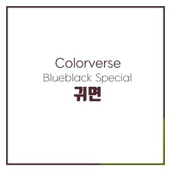 블로그 관련글