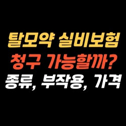 블로그 관련글