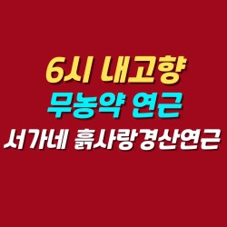 블로그 관련글