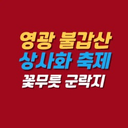 블로그 관련글