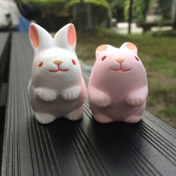 블로그 관련글