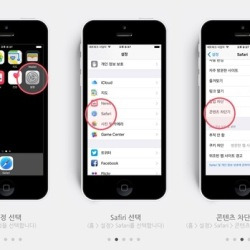 블로그 관련글