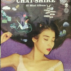 블로그 관련글