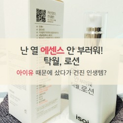 블로그 관련글