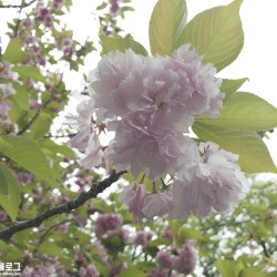 블로그 관련글