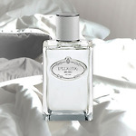 [남자향수] 프라다 아이리스 세더 : 5성급 호텔 이불향기