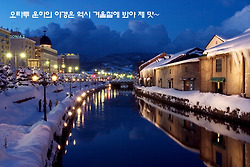 오타루 운하의 야경은 역시 눈쌓인 겨울이 최고 !!!