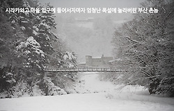 시라카와고 마을 초입부터 엄청난 폭설에 놀라버린 부산촌놈