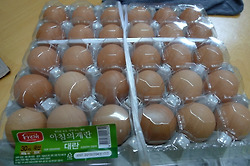 자취생의 필수품 .  계란한판 -ㅅ-)   역시나 대충해보는 계란요리들