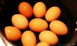 [요리] 자취남의 훈제 계란 만들기 도전