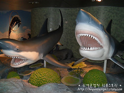 시티헌터 수조씬 촬영지! 그곳에서 폭염속 더위를 잊다!