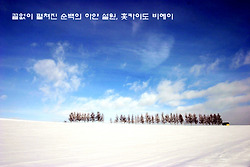 끝없이 펼쳐진 순백의 하얀 설원, 홋카이도 비에이