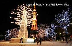 삿포로의 황홀한 야경, 화이트 일루미네이션