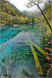 [중국 구채구 여행] 구채구(주자이거우), 꿈엔들 잊을까! 가을 여정의 백미