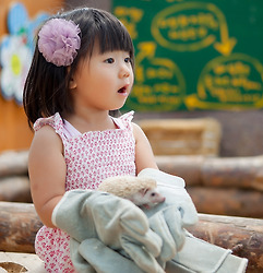 사진 이미지를 텍스트로 풀어내는 이유와 방법.