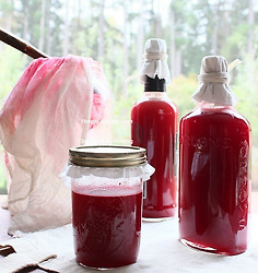 감기, 피로, 스트레스 싹~ 비타민 C 저장(대추 크랜베리 꿀 효소)