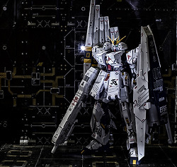 입문자들에게 표준줌 렌즈를 추천드리지 않는 이유