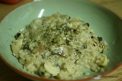 굴요리 굴리조또 맛있게 만드는 비법