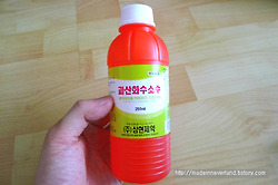 실내 화분에 핀 곰팡이 제거하기.