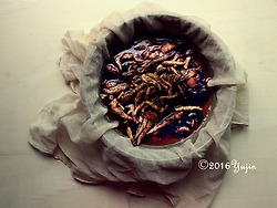 신비한 묘약, 폐와 목건강을 위한 배도라지 꿀 발효액(발효영상포함)