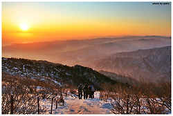 2015년 을미년, 새해 복 많이 받으세요^^ (설악산, 필리핀, 인도, 네팔, 베트남, 인도네시아, 노르웨이 일출사진)