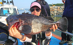 맛있는 제철 생선 수산물, 계절별 총정리