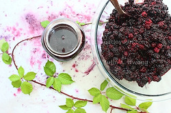 직접 딴 귀한 야생 블랙베리로 초간단 꿀효소 담기