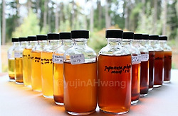 나는 왜 9년씩이나  과일효소 실험연구를 계속하는가?