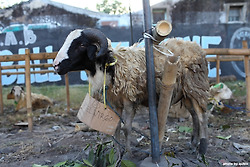 [인도네시아 족자카르타 여행] 저희 호텔로 오세요