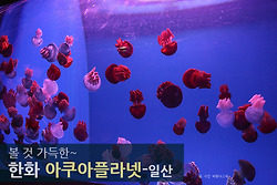 하이드 지킬, 나 촬영지. 아쿠아플라넷 일산은 이렇다