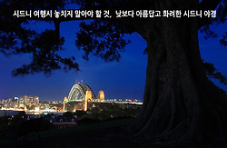 시드니 여행시 놓치지 말아야 할 것, 낮보다 아름답고 화려한 시드니 야경