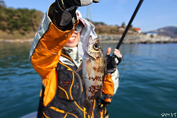 아내와 함께한 통영 전마선(덴마) 바다낚시