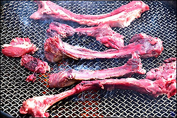 야생 멧돼지 바베큐