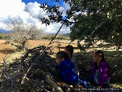 파란 하늘, 아이들이 쑥쑥 자란다
