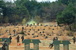 신병 1243기 2교육대 극기주 - 각개전투훈련