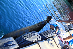 [남아공 여행] 물개와 코맞춤