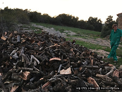 작업복만 입으면 변신하는 남편