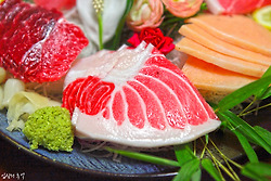 바다의 로또, 최고급 횟감 참다랑어 이야기