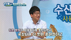 수산물 사용설명서 1부, 대한민국 국민생선 고등어