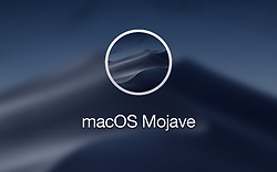 애플, macOS 모하비 정식 배포