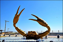 제22회 영덕대게축제-천년사랑 왕의 대게