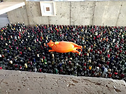 [강릉] 볼거리가 풍부한 하슬라 아트 월드 뮤지엄