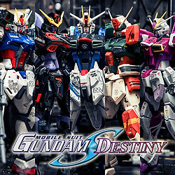 필름카메라 복고 유행을 보고 드는 단상.